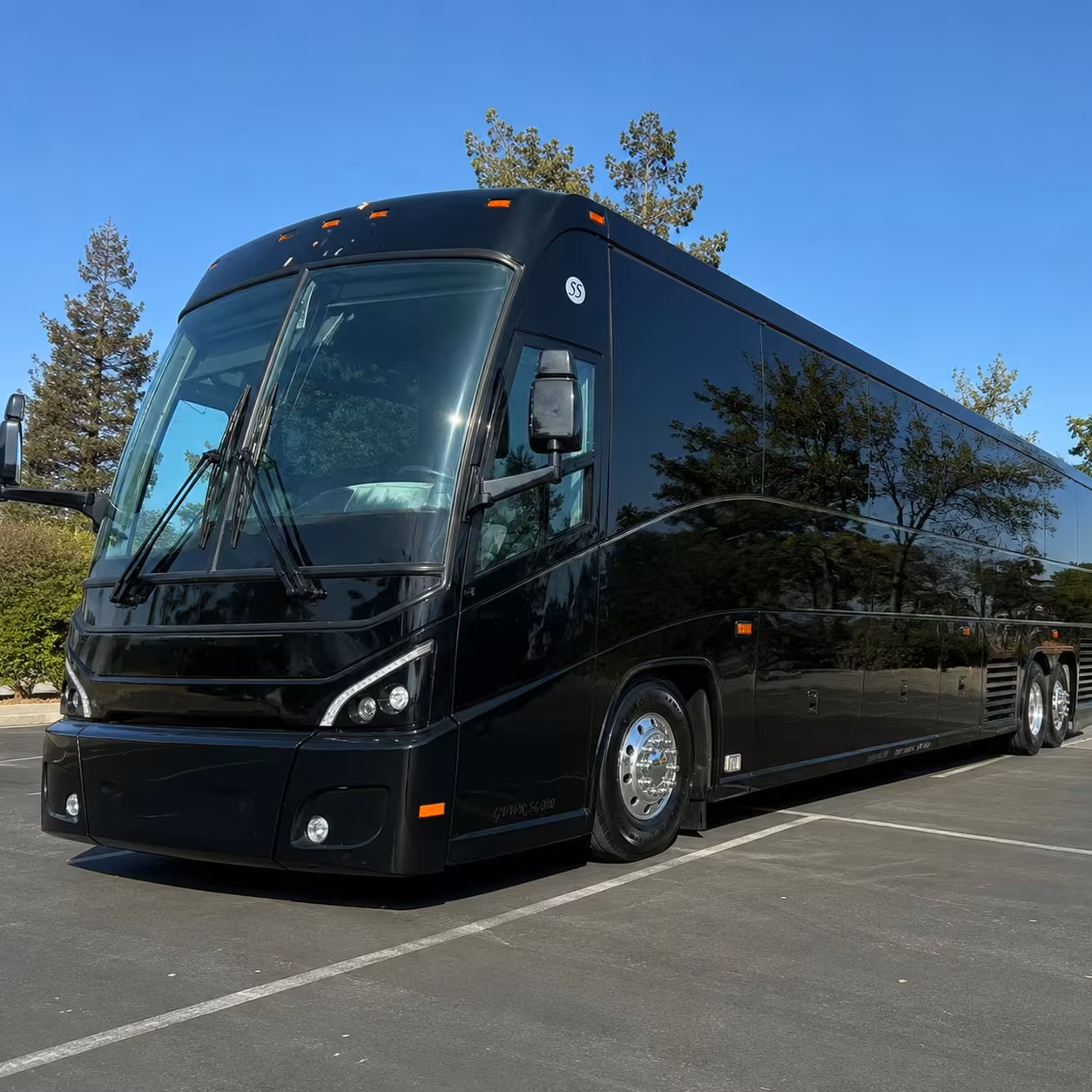 56 passenger charter bus